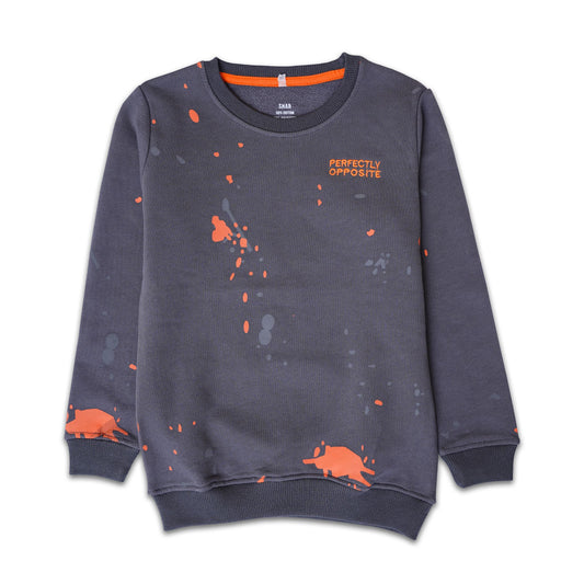 Boy's Splash Grey Sweatshirt